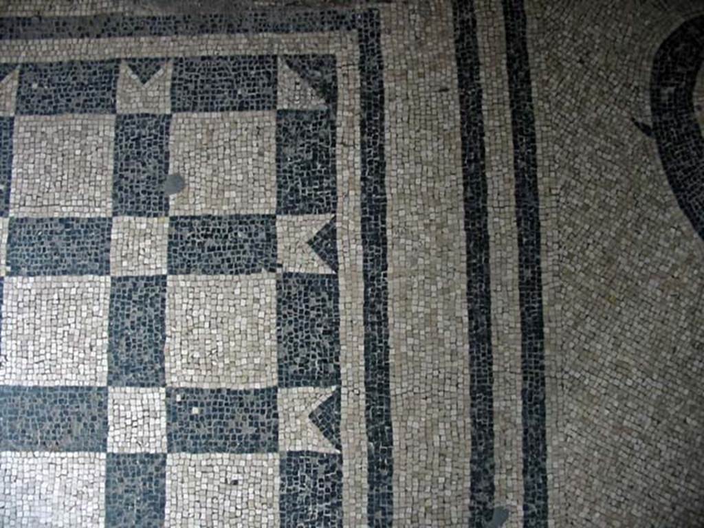 VI.8, Herculaneum. May 2003. Detail of mosaic floor in ateroom leading through to apodyterium/changing room.
Photo courtesy of Nicolas Monteix.